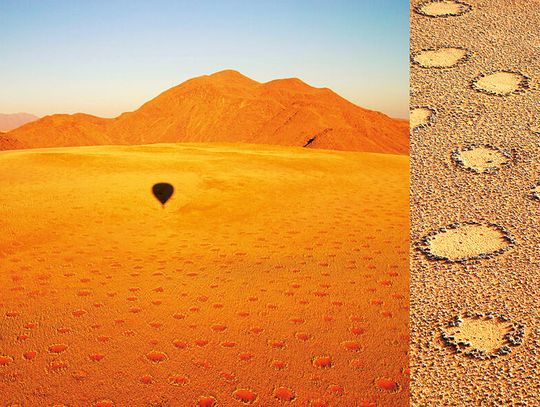 Zagadka kręgów wróżek