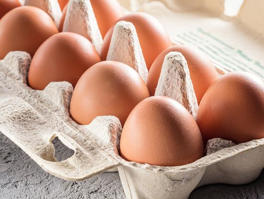 Ze sklepu spożywczego zrabowano 100 tys. jajek