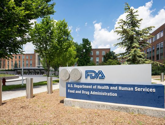 Zgoda FDA na badania kliniczne przeszczepiania nerek zmienionych genetycznie świń