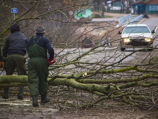 Zniszczenia po burzach – marcowe tornada potwierdzone w Illinois i Indianie (WIDEO)