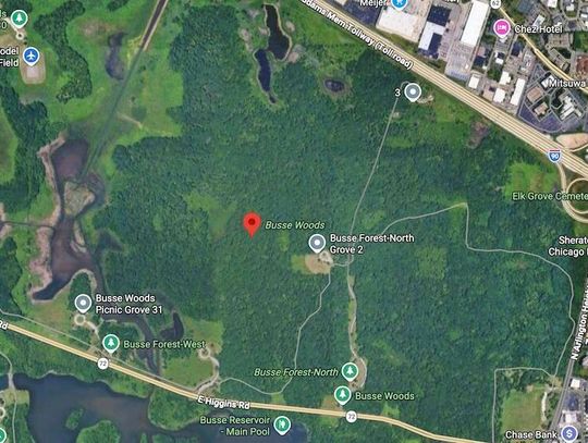 Zwłoki znalezione w Busse Woods podczas poszukiwań zaginionego mieszkańca Schaumburga