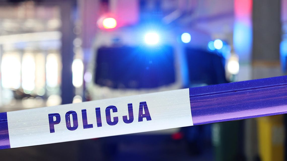 16 martwych psów na posesji pod Skierniewicami 16 martwych psów na posesji pod Skierniewicami