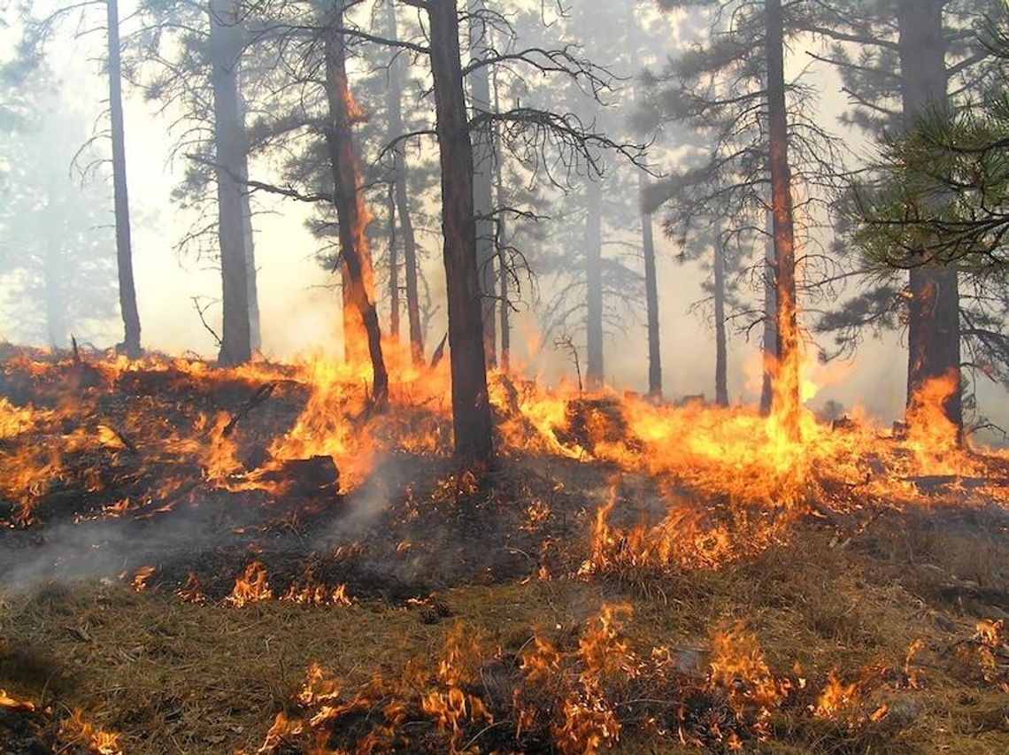 27 mln ludzi na północnym wschodzie objętych alarmem pożarowym (WIDEO)