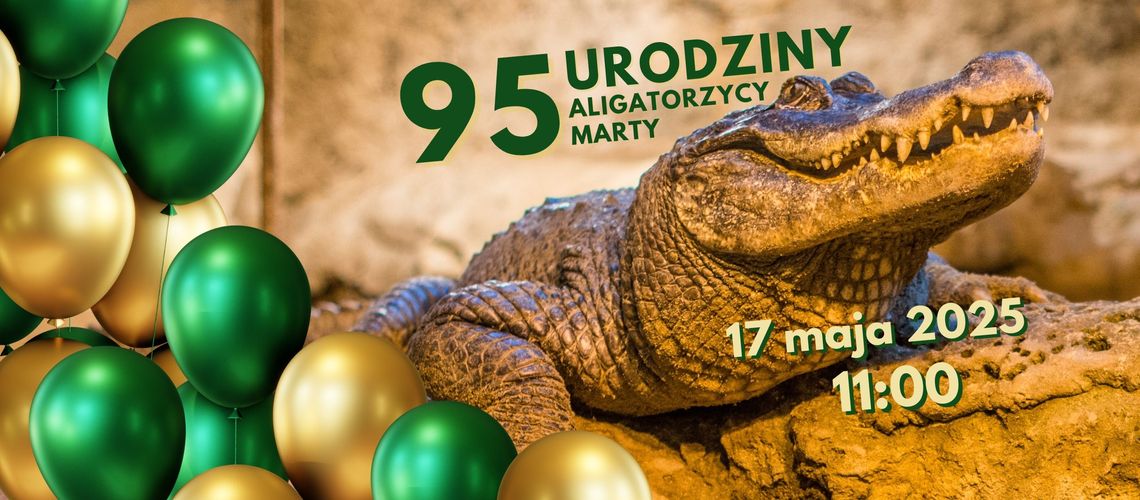 95 lat kończy aligatorzyca Marta, najstarsze zwierzę w ogrodach zoologicznych Europy