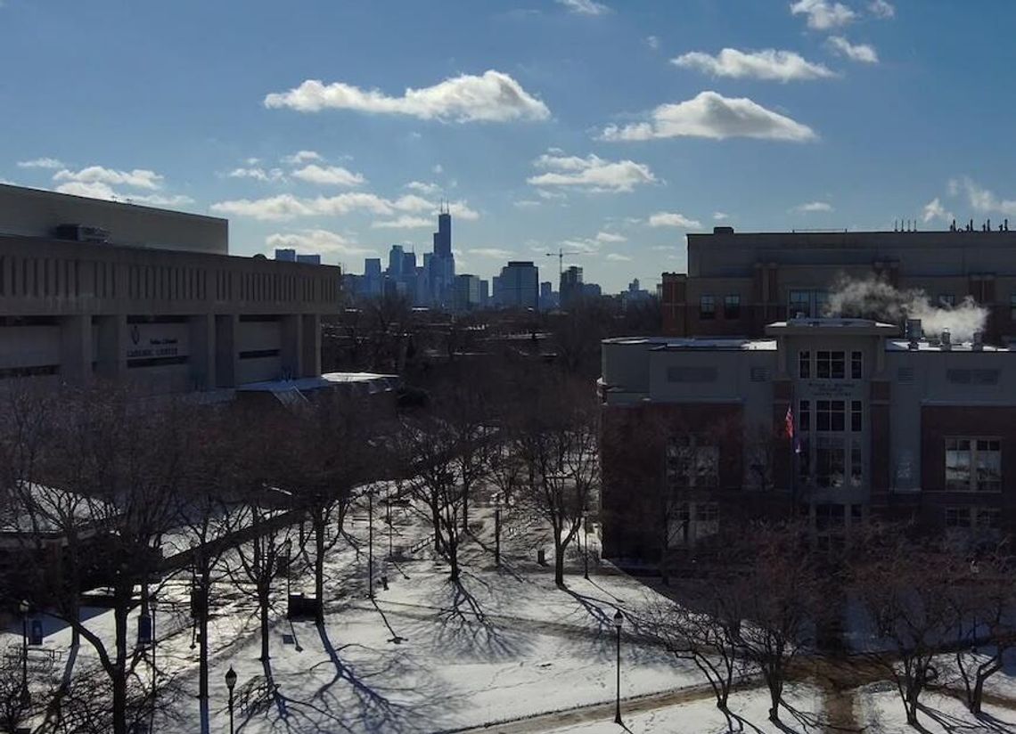Ataki na terenie Uniwersytetu DePaul w Lincoln Park