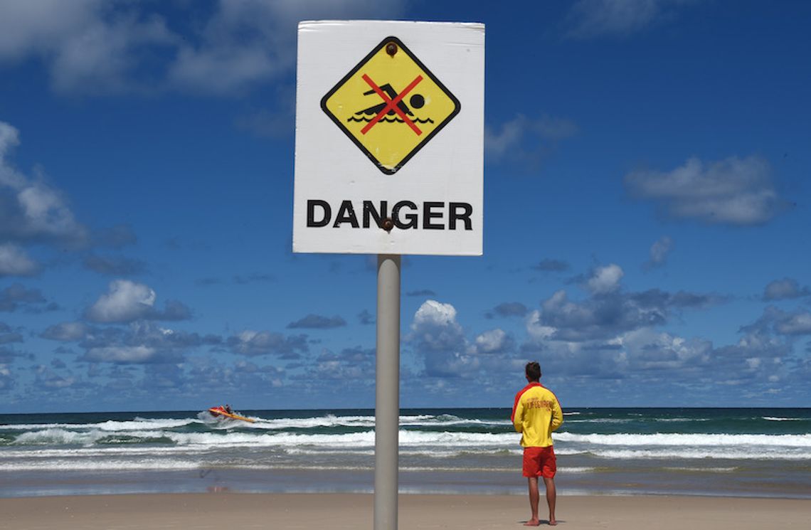 Australia. W Sydney zamknięto popularne plaże, bo rekiny zaatakowały delfina