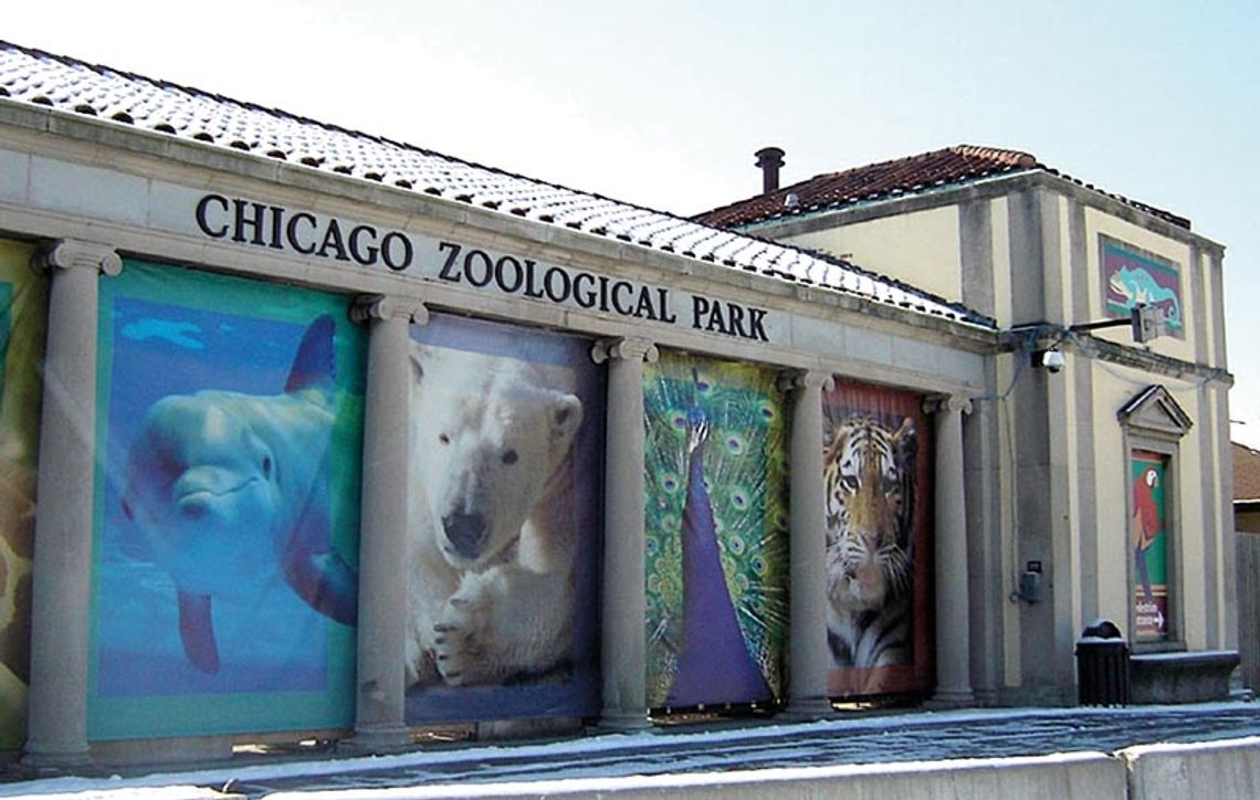 Brookfield Zoo ogłasza bezpłatne dni wstępu w styczniu i lutym