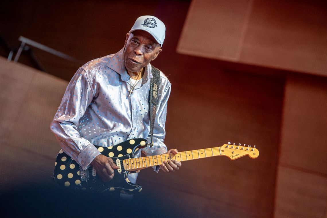 Chicago Blues Festival