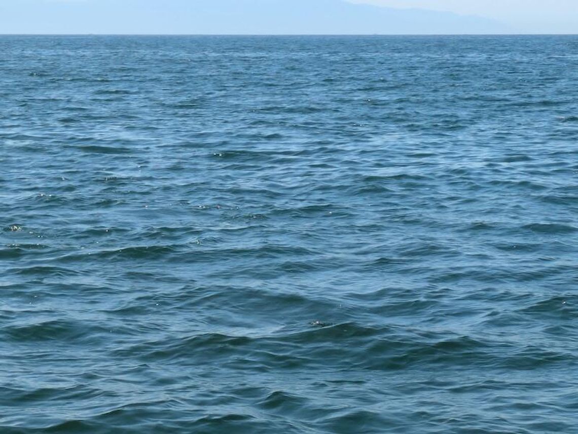 Ciało w rzece Chicago i w jeziorze Michigan Ciało w rzece Chicago i w jeziorze Michigan