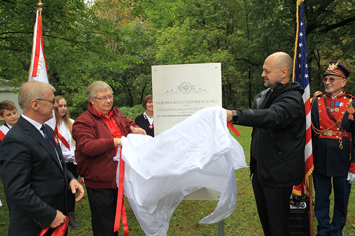 Dąb rotmistrza Witolda Pileckiego i Tablica Fundatorów Dębowej Alei Niepodległości w Yorkville