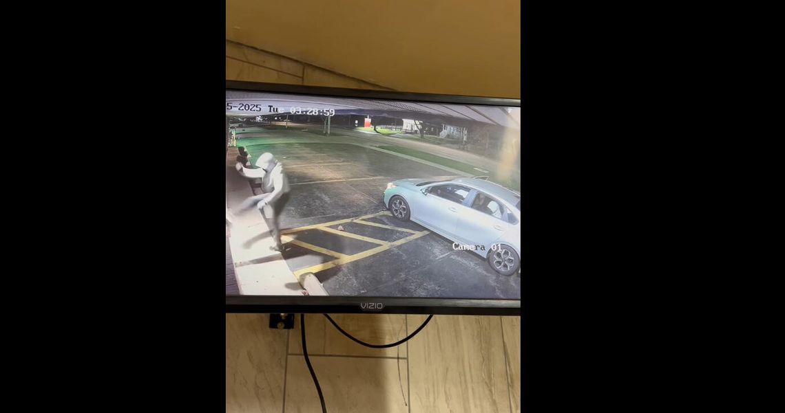 Darmowa pizza przez rok – za pomoc w ujęciu „bandytów o mózgu z mozarelli” w Lockport (WIDEO)