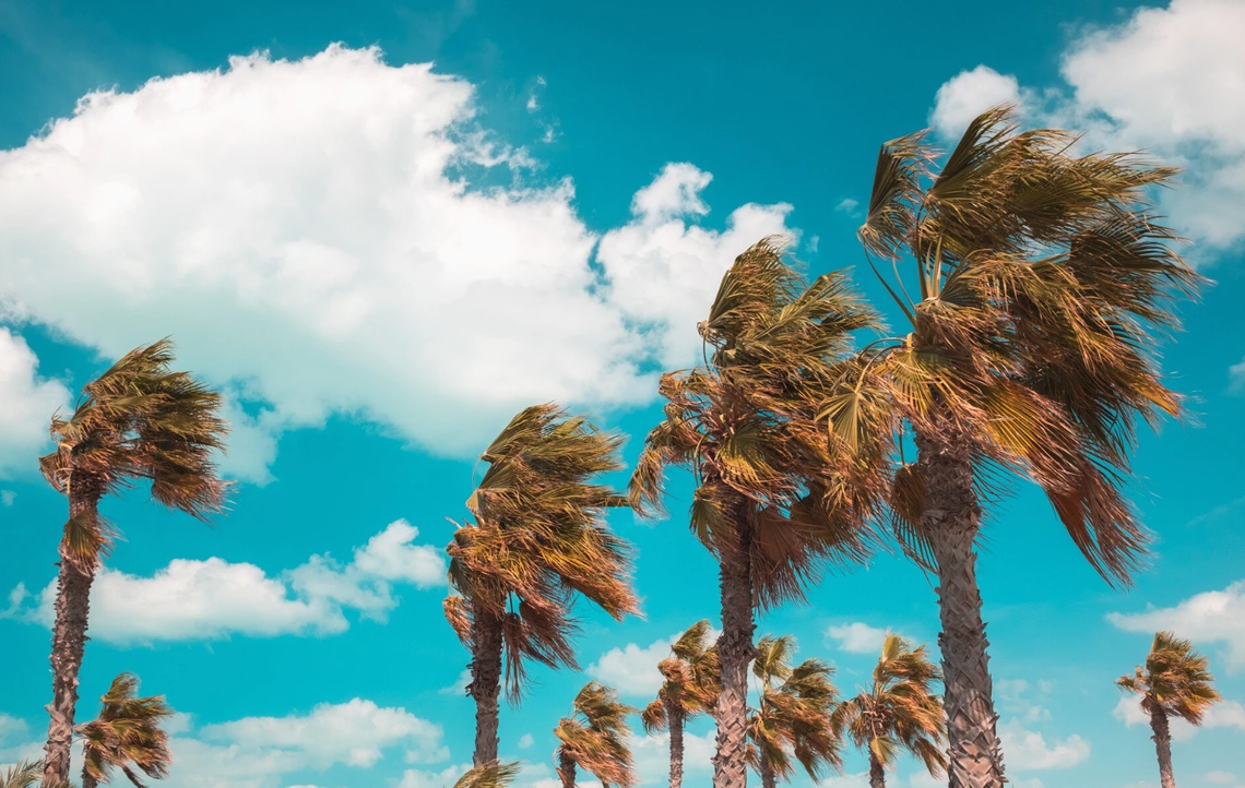 Driving in Bali vs. Dubai: How Climate and Roads Affect Car Safety Driving in Bali vs. Dubai: How Climate and Roads Affect Car Safety