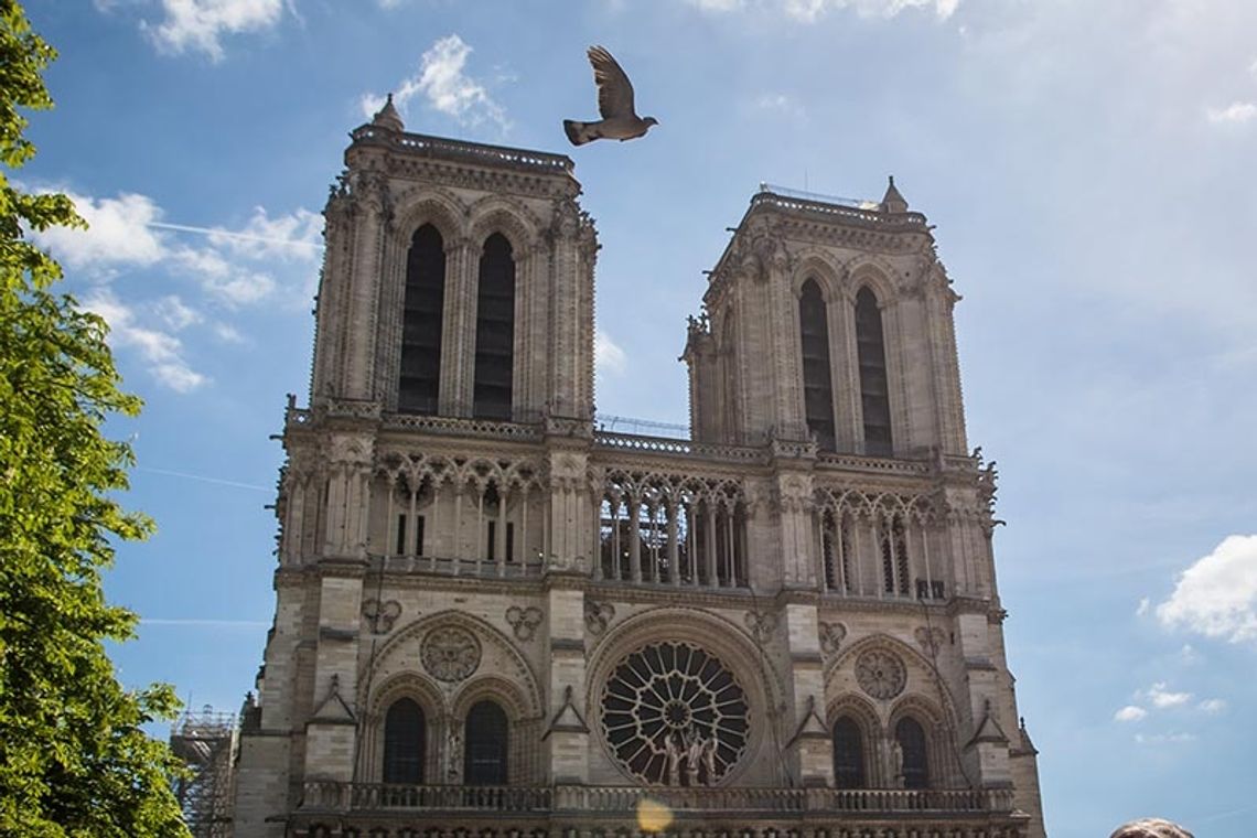 Francja. Puryści językowi pozwali do sądu zarząd katedry Notre-Dame za preferowanie języka angielskiego