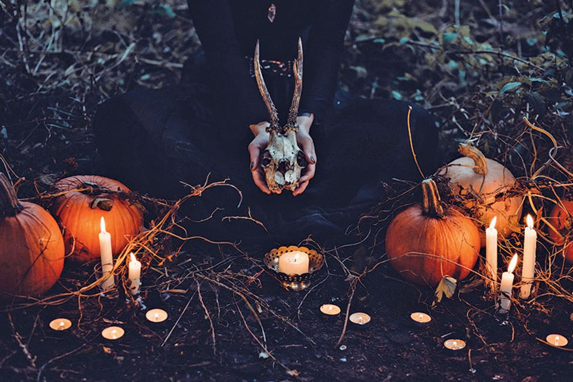 Halloweenowe opowieści