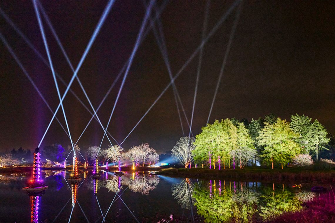 Illumination: Tree Lights at The Morton Arboretum opens this week with IllumiBrew preview