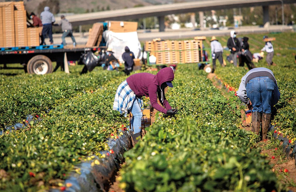 Imigranci uciekają z USA