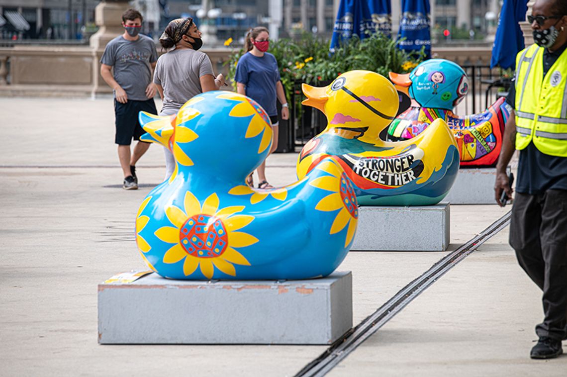 “Kaczuszki na Mag Mile” i wirtualne Duck Derby (ZDJĘCIA)