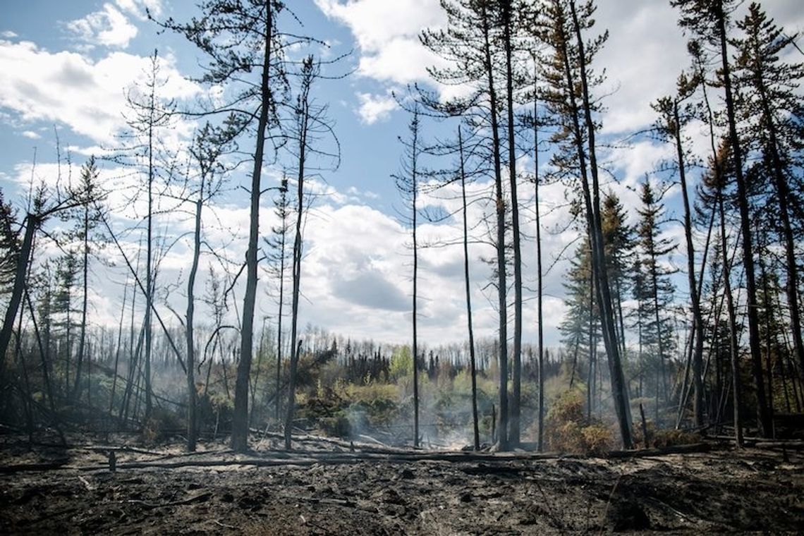 Kanada. Kolumbia Brytyjska wprowadziła z powodu pożarów ograniczenia w podróżach