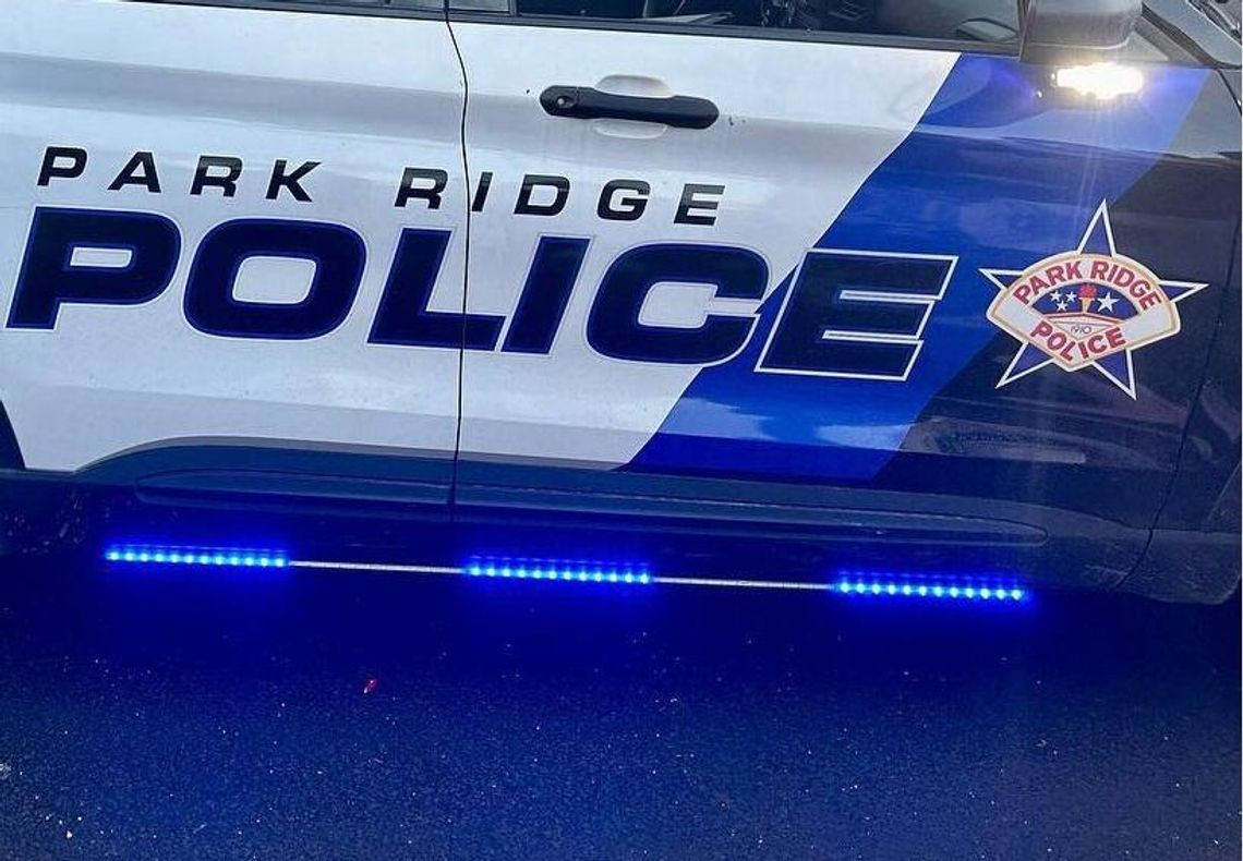 Kobieta zmarła po potrąceniu na ulicy w Park Ridge