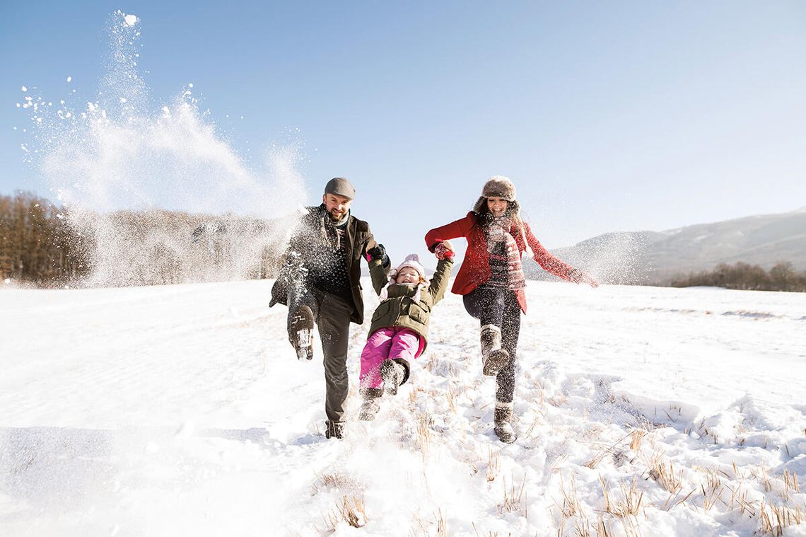 Korzenie i skrzydła