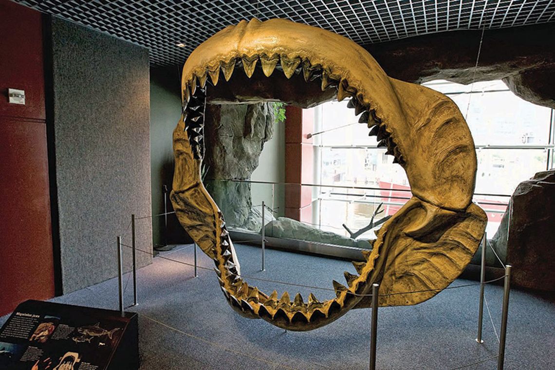 Megalodon, król głębin