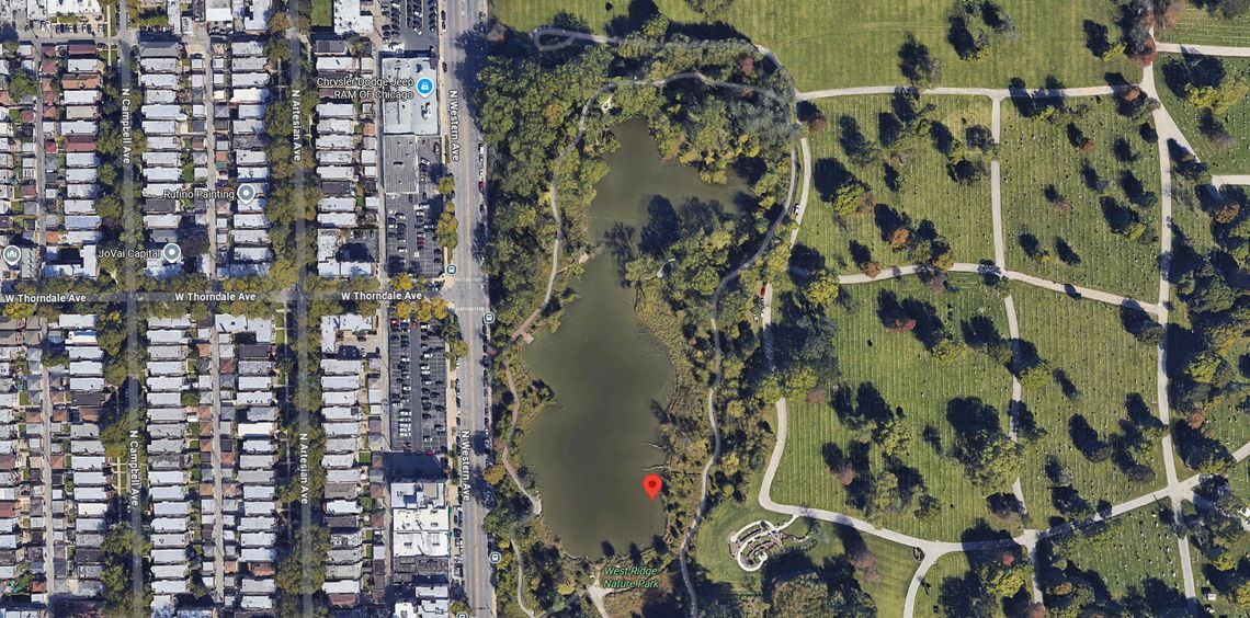 Mężczyzna obmacuje kobiety w parku na północy Chicago Mężczyzna obmacuje kobiety w parku na północy Chicago