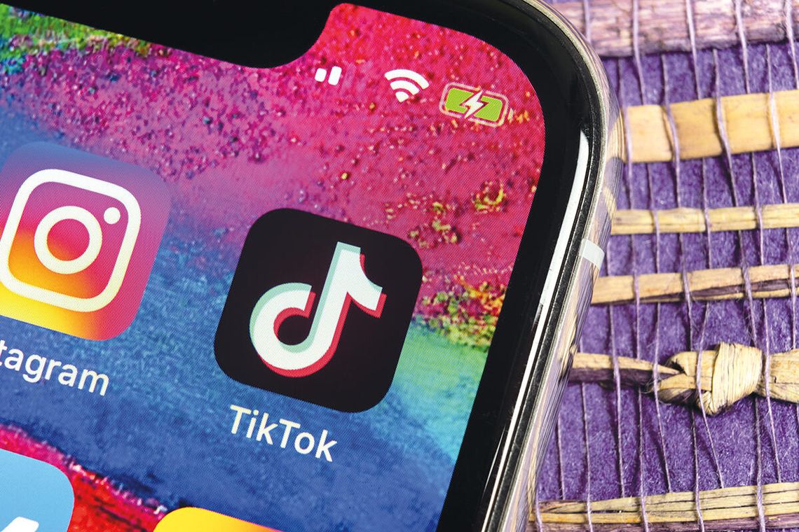 Oszustwa na TikToku: fałszywe zbiórki na schroniska dla zwierząt