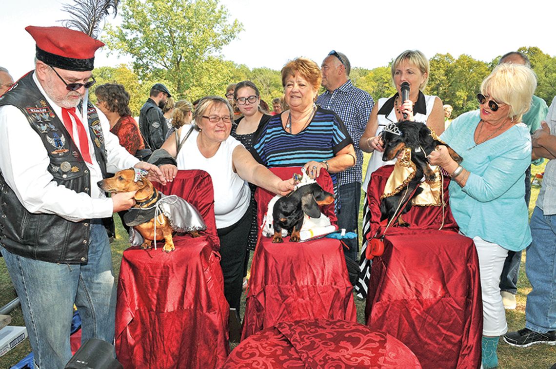 Parada z królem Stefanem