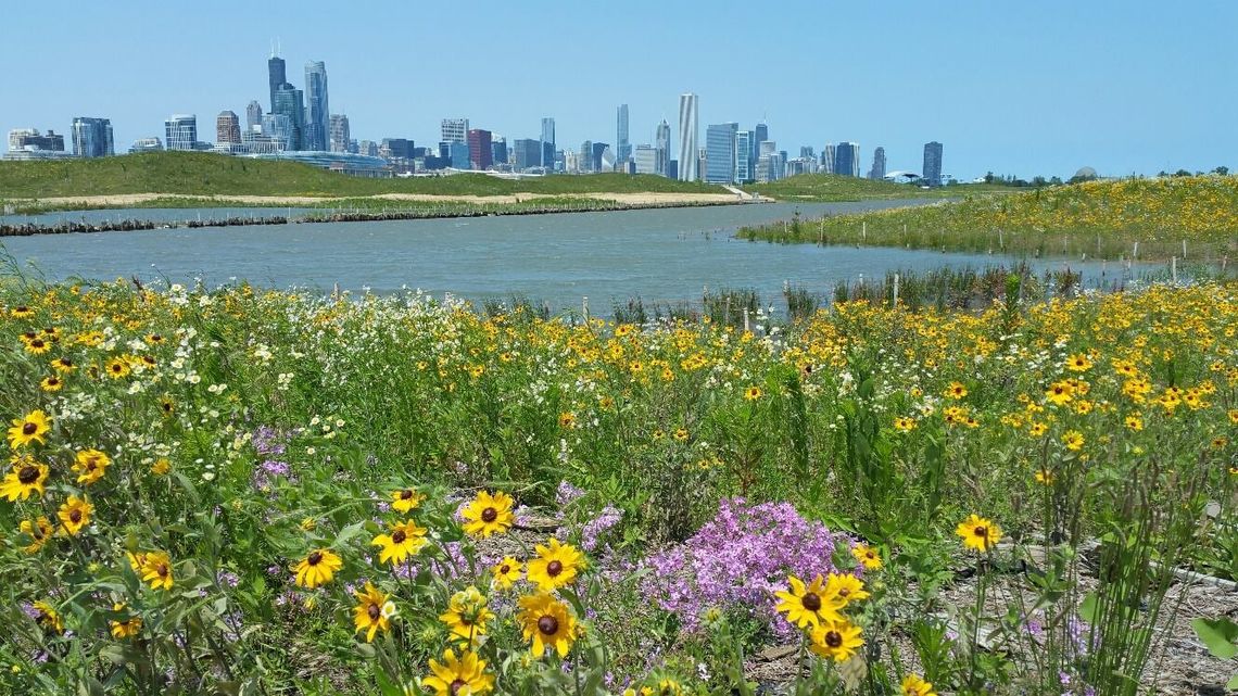 Pierwsze utonięcie w jeziorze Michigan, cztery dni po otwarciu chicagowskich plaż