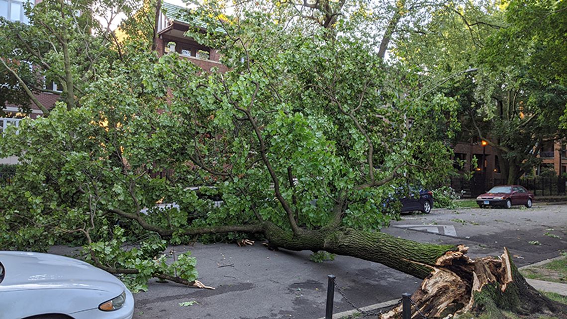 Potężne derecho i potwierdzone tornado w Chicago