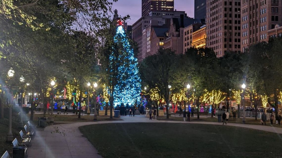 Ruszył konkurs na oficjalną chicagowską choinkę Ruszył konkurs na oficjalną chicagowską choinkę