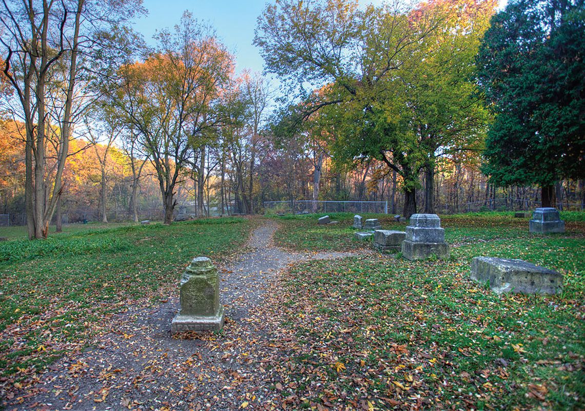 Sekret lasu i zmarłych
