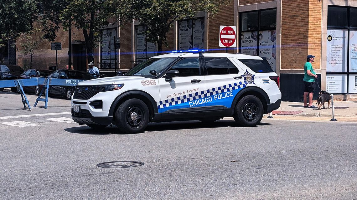Seria napadów i kradzieży z samochodów w Portage Park i Irving Park