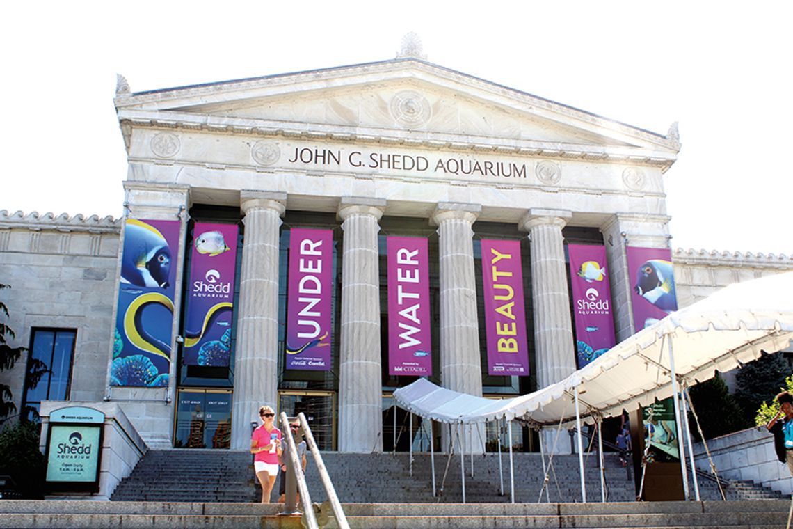 Shedd Aquarium otwiera się dla zwiedzających