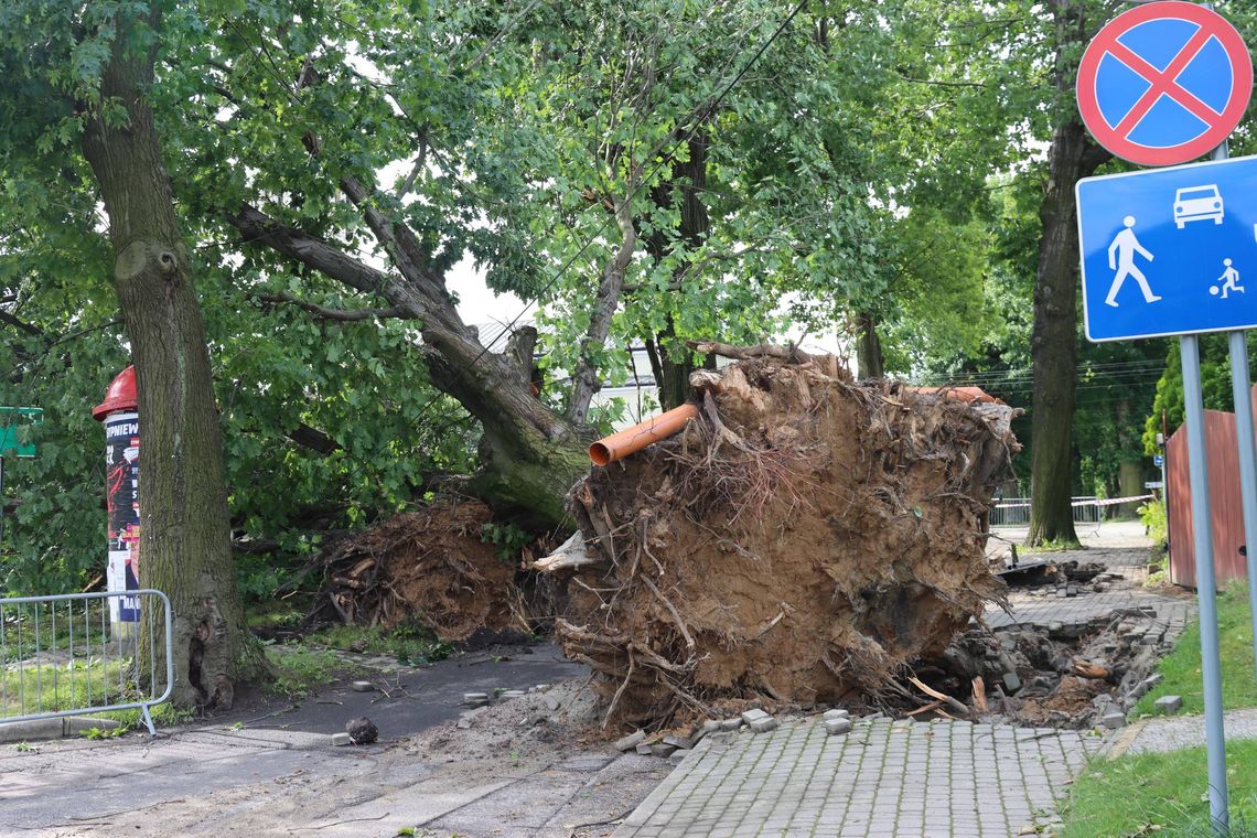 Śląskie. Służby kryzysowe wojewody: 59 zerwanych dachów, 60 – uszkodzonych