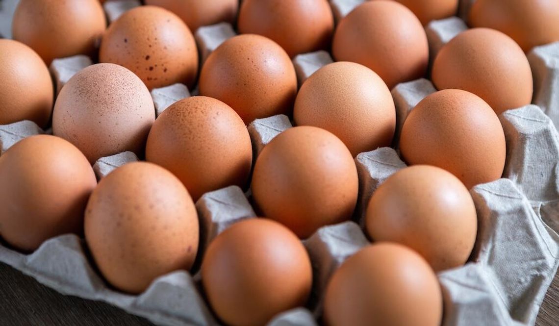 Spadek cen jajek: ulga dla klientów, problem dla farmerów