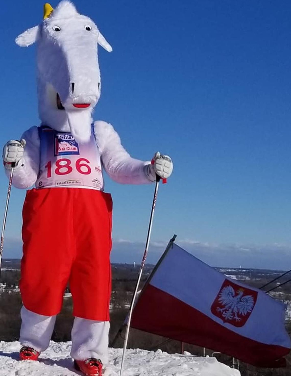 Mistrzostwa Polonii w narciarstwie alpejskim w Wilmot przełożone