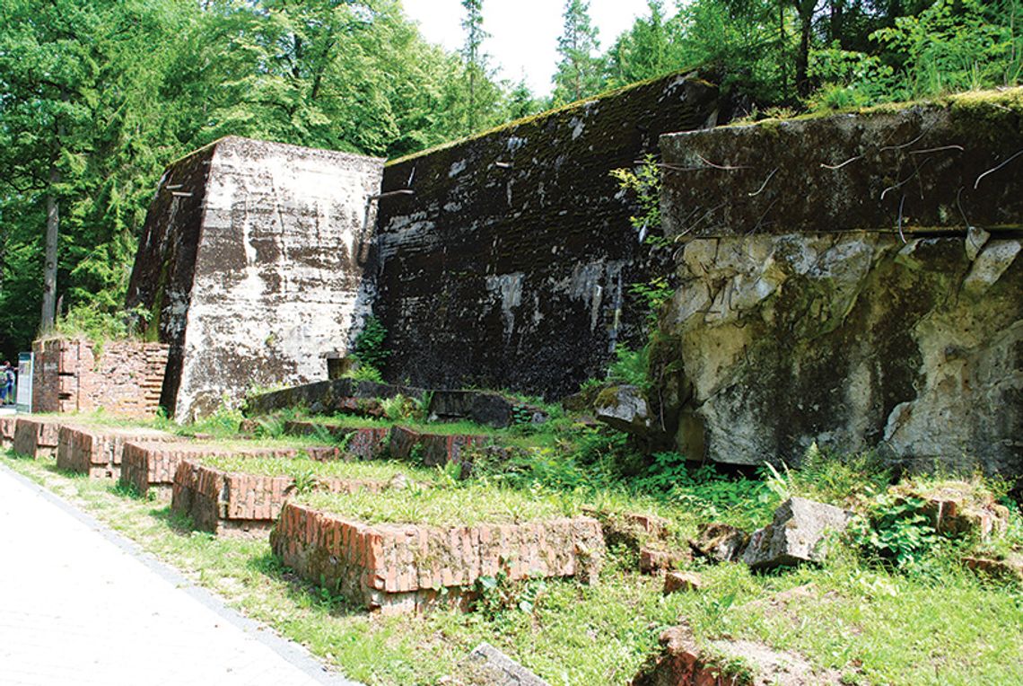 Szkielety pod Wilczym Szańcem