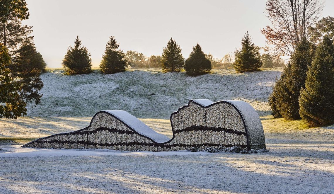 The Morton Arboretum is open and free on Christmas Day