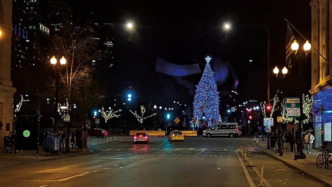 Trwają poszukiwania oficjalnej chicagowskiej choinki