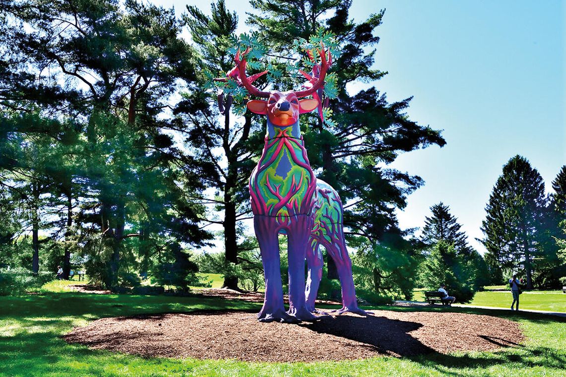 „Vivid Creatures” – plenerowa ekspozycja w Morton Arboretum