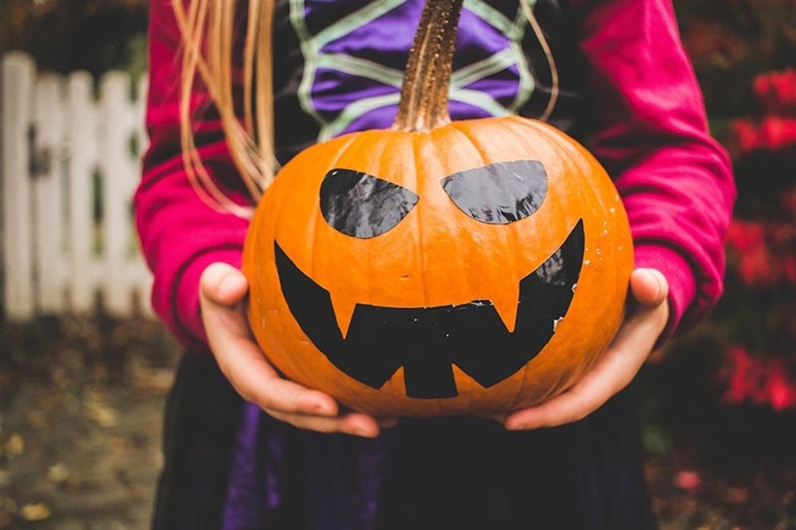 W Halloween władze przypominają o zasadach bezpieczeństwa