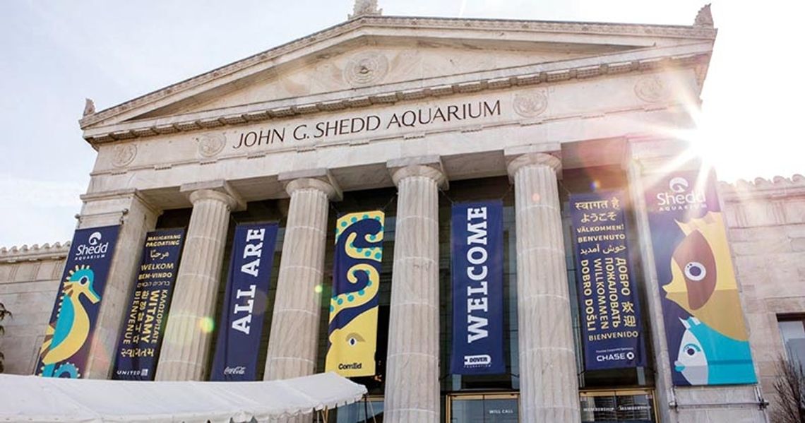 We wrześniu bezpłatne dni w Shedd Aquarium