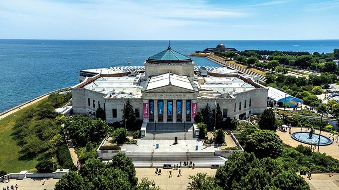 We wrześniu bezpłatne dni w Shedd Aquarium