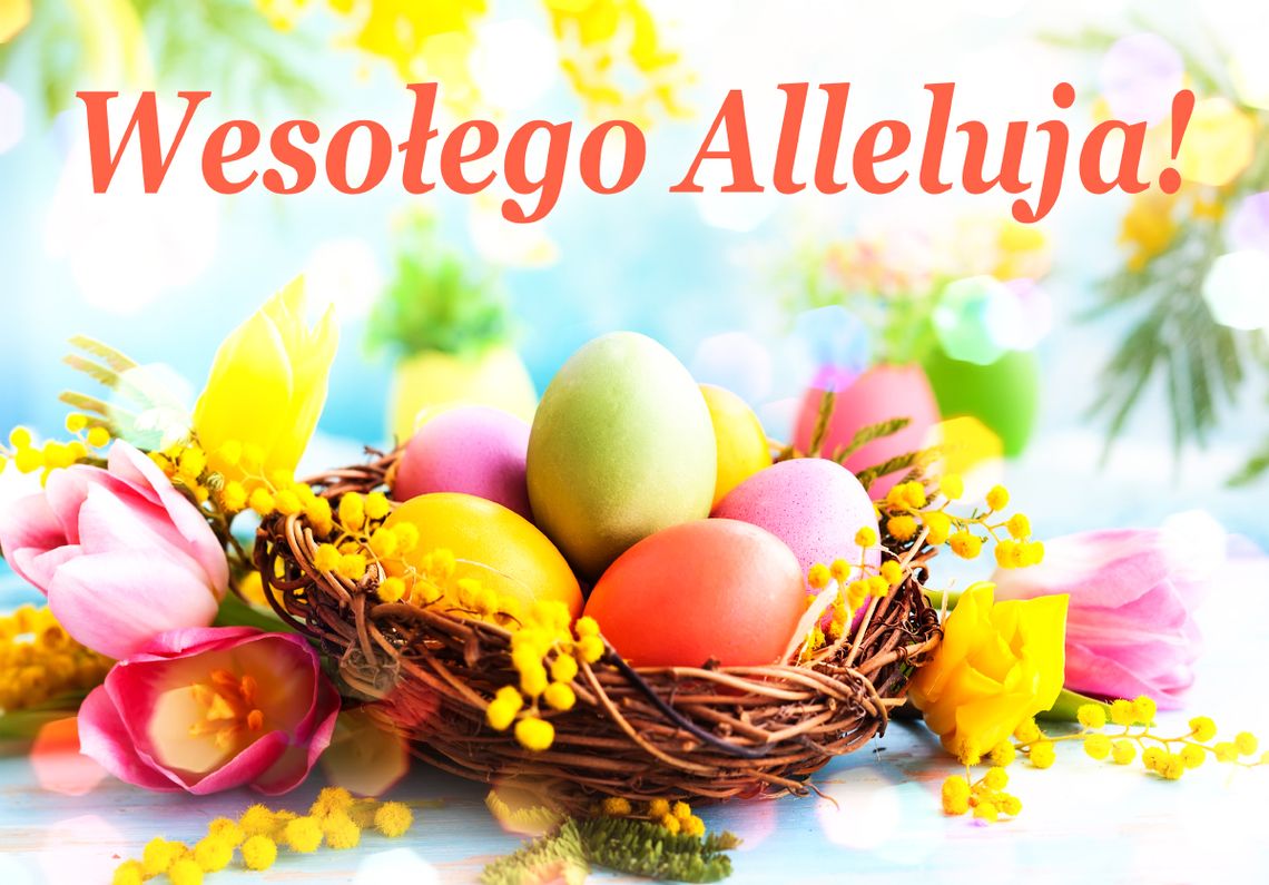 Wesołych Świąt! Happy Easter!