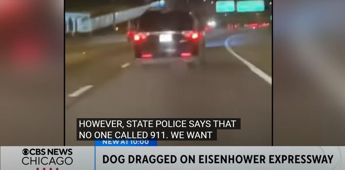 (WIDEO) Dramatyczne nagranie z autostrady. Policja szuka kierowcy, który ciągnął psa za samochodem
