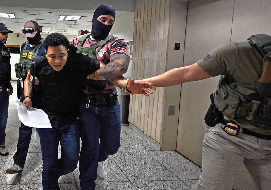 Więcej zatrzymań imigrantów bez przeszłości kryminalnej