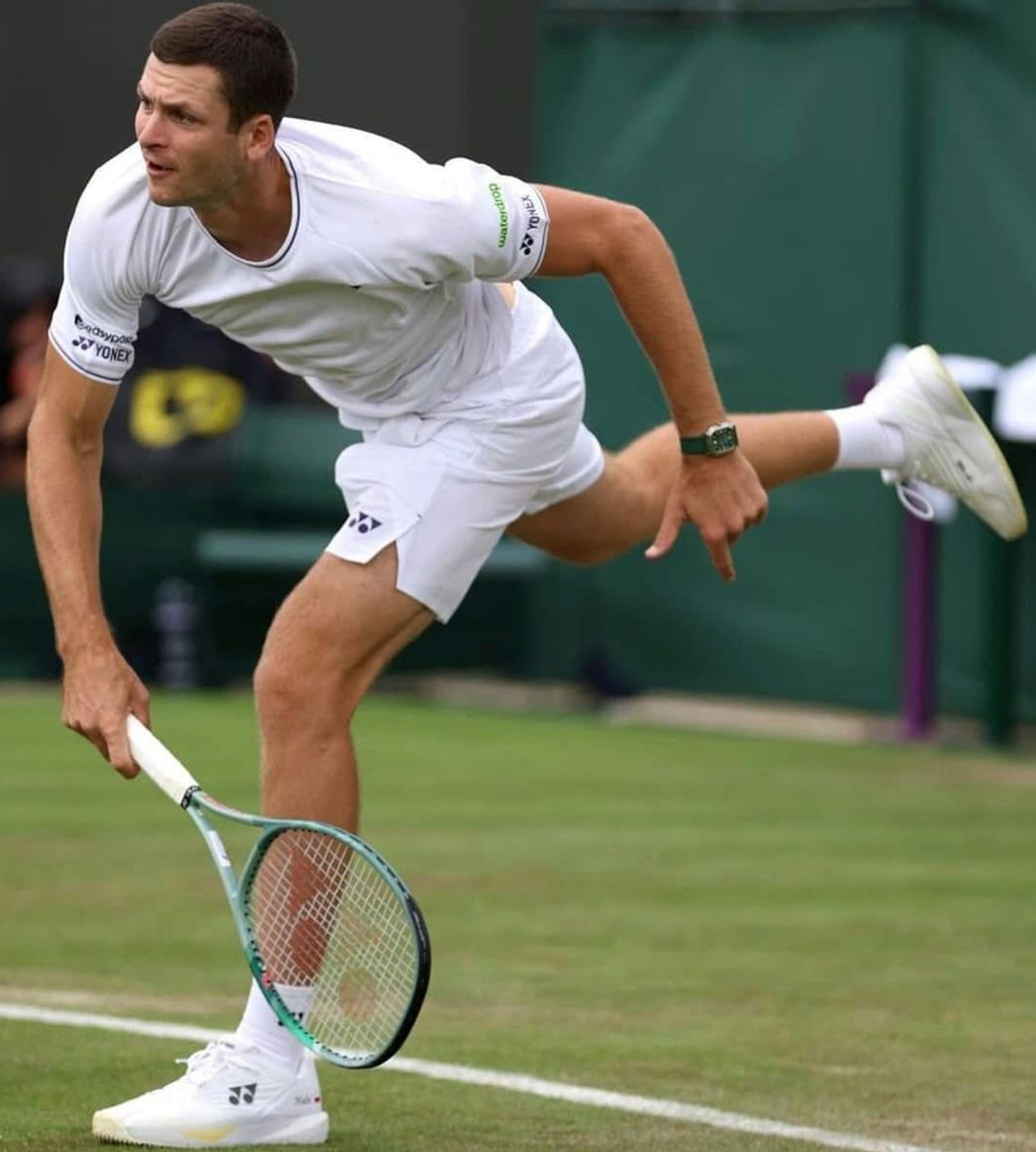 Wimbledon - Hurkacz zrezygnował z występu