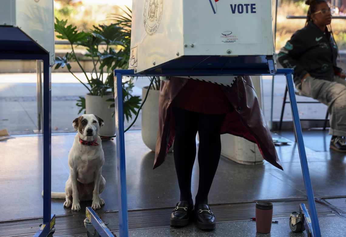 Wybory, czyli prawo wahadła Wybory, czyli prawo wahadła