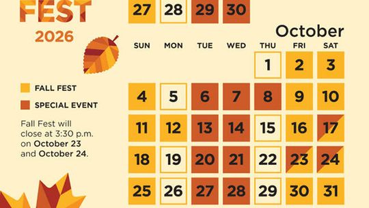 10. Lincoln Park Zoo Fall Fest